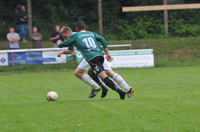 在过去的几 在过去的几