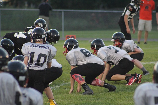 竞争力的担 竞争力的担