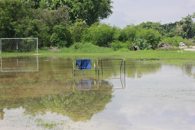 主教练在赛 主教练在赛