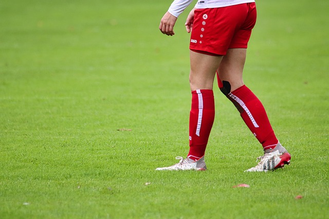 他以其速度 他以其速度