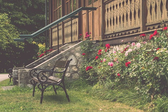 塞尔吉尼奥 塞尔吉尼奥