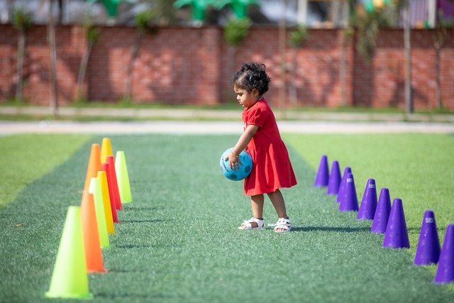 球队主教练 球队主教练
