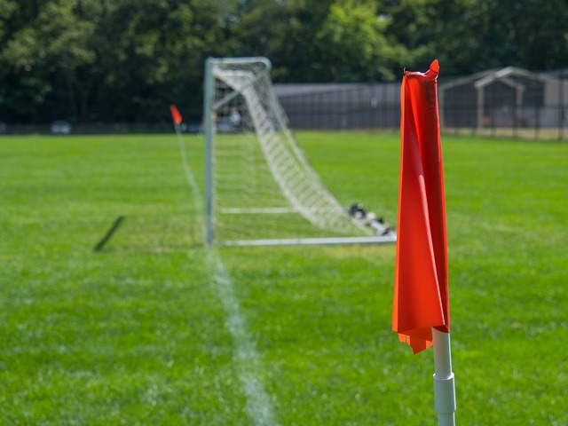 合作与冠军 合作与冠军