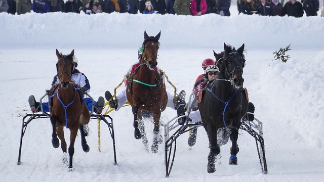 出一定问题 出一定问题