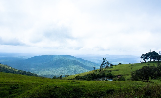 及在战术体 及在战术体